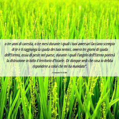 Picture 06 - 1 Cronache 21:12 RIV - o tre anni di carestia, o tre mesi durante i - Bible Verse Picture