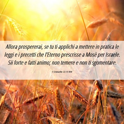 Picture 06 - 1 Cronache 22:13 RIV - Allora prospererai, se tu ti applichi a mettere - Bible Verse Picture