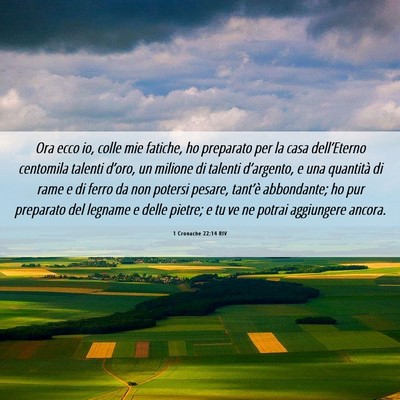 Picture 06 - 1 Cronache 22:14 RIV - Ora ecco io, colle mie fatiche, ho preparato per - Bible Verse Picture