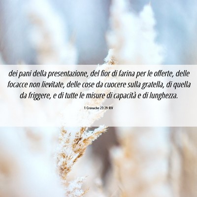 Picture 06 - 1 Cronache 23:29 RIV - dei pani della presentazione, del fior di farina - Bible Verse Picture