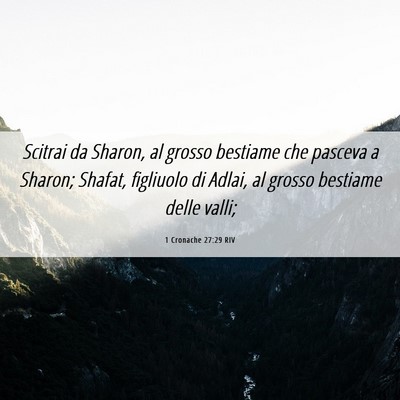 Picture 06 - 1 Cronache 27:29 RIV - Scitrai da Sharon, al grosso bestiame che pasceva - Bible Verse Picture