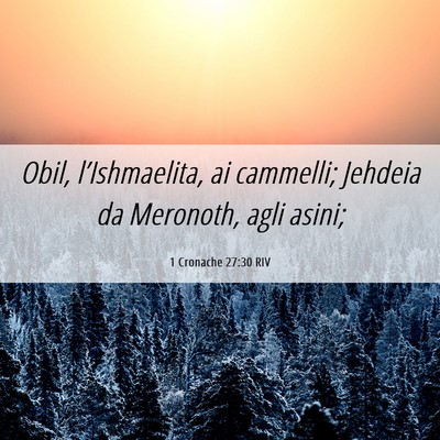 Picture 06 - 1 Cronache 27:30 RIV - Obil, l’Ishmaelita, ai cammelli; Jehdeia da - Bible Verse Picture