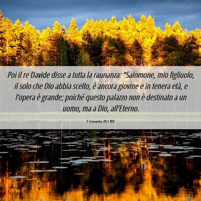 Picture 06 - 1 Cronache 29:1 RIV - Poi il re Davide disse a tutta la raunanza: - Bible Verse Picture