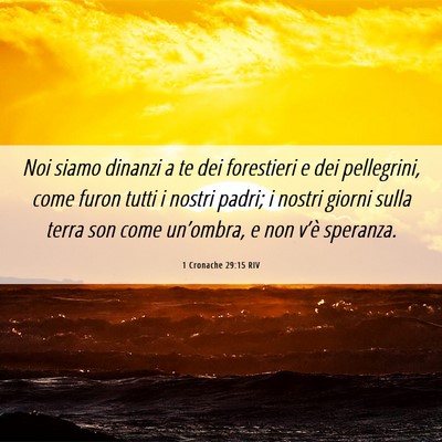 Picture 06 - 1 Cronache 29:15 RIV - Noi siamo dinanzi a te dei forestieri e dei - Bible Verse Picture