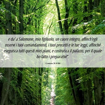Picture 06 - 1 Cronache 29:19 RIV - e da’ a Salomone, mio figliuolo, un cuore - Bible Verse Picture