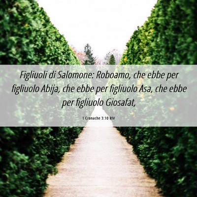 Picture 06 - 1 Cronache 3:10 RIV - Figliuoli di Salomone: Roboamo, che ebbe per - Bible Verse Picture
