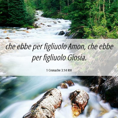Picture 06 - 1 Cronache 3:14 RIV - che ebbe per figliuolo Amon, che ebbe per - Bible Verse Picture