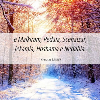 Picture 06 - 1 Cronache 3:18 RIV - e Malkiram, Pedaia, Scenatsar, Jekamia, Hoshama e - Bible Verse Picture