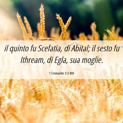 Picture 06 - 1 Cronache 3:3 RIV - il quinto fu Scefatia, di Abital; il sesto fu - Bible Verse Picture