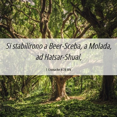 Picture 06 - 1 Cronache 4:28 RIV - Si stabilirono a Beer-Sceba, a Molada, ad - Bible Verse Picture