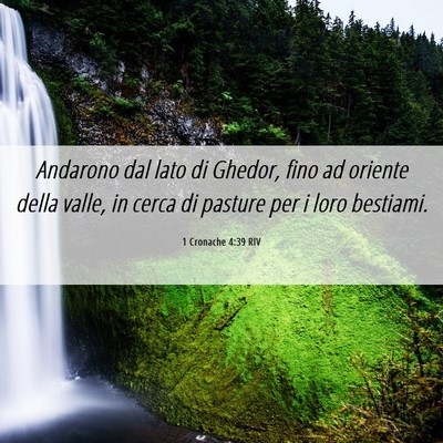 Picture 06 - 1 Cronache 4:39 RIV - Andarono dal lato di Ghedor, fino ad oriente - Bible Verse Picture