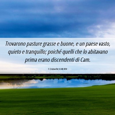 Picture 06 - 1 Cronache 4:40 RIV - Trovarono pasture grasse e buone, e un paese - Bible Verse Picture