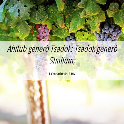 Picture 06 - 1 Cronache 6:12 RIV - Ahitub generò Tsadok; Tsadok generò - Bible Verse Picture