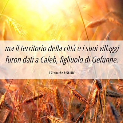 Picture 06 - 1 Cronache 6:56 RIV - ma il territorio della città e i suoi villaggi - Bible Verse Picture