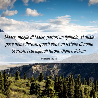 Picture 06 - 1 Cronache 7:16 RIV - Maaca, moglie di Makir, partorì un figliuolo, al - Bible Verse Picture