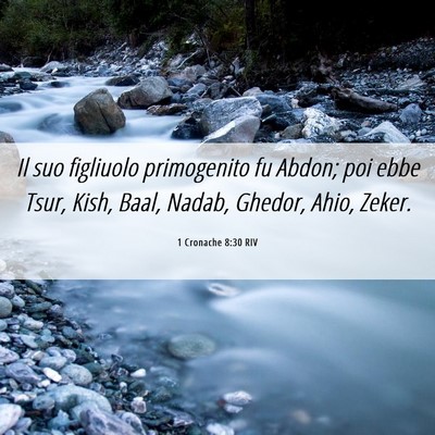 Picture 06 - 1 Cronache 8:30 RIV - Il suo figliuolo primogenito fu Abdon; poi ebbe - Bible Verse Picture