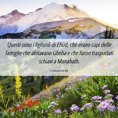 Picture 06 - 1 Cronache 8:6 RIV - Questi sono i figliuoli di Ehud, che erano capi - Bible Verse Picture