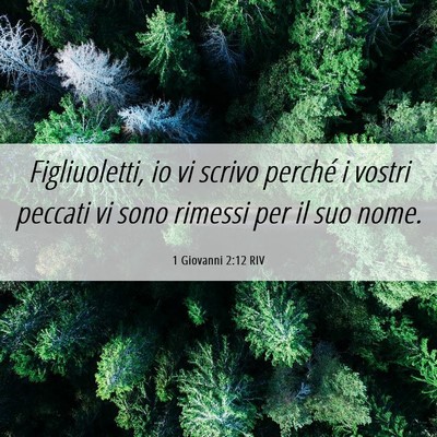 Picture 06 - 1 Giovanni 2:12 RIV - Figliuoletti, io vi scrivo perché i vostri - Bible Verse Picture