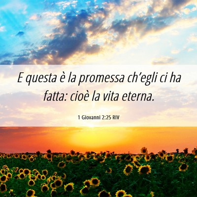 Picture 06 - 1 Giovanni 2:25 RIV - E questa è la promessa ch’egli ci ha fatta: - Bible Verse Picture