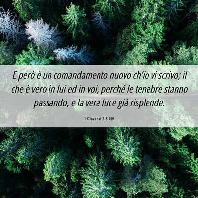 Picture 06 - 1 Giovanni 2:8 RIV - E però è un comandamento nuovo ch’io vi - Bible Verse Picture