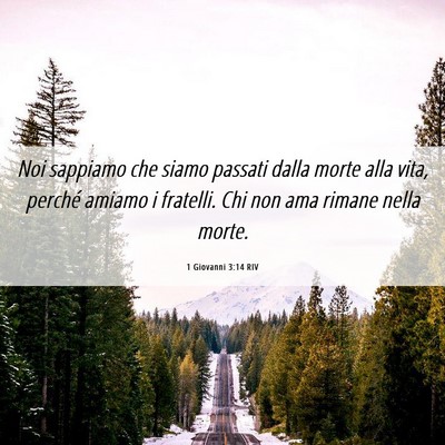 Picture 06 - 1 Giovanni 3:14 RIV - Noi sappiamo che siamo passati dalla morte alla - Bible Verse Picture