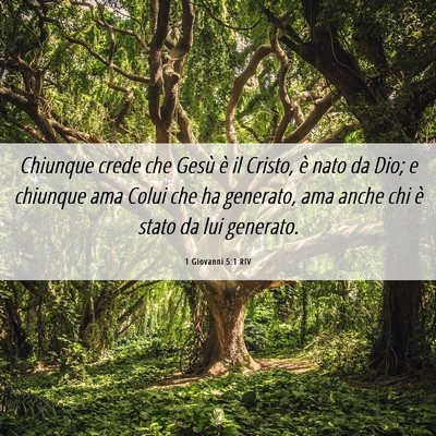 Picture 06 - 1 Giovanni 5:1 RIV - Chiunque crede che Gesù è il Cristo, è nato da - Bible Verse Picture