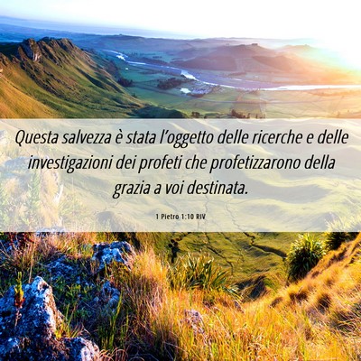 Picture 06 - 1 Pietro 1:10 RIV - Questa salvezza è stata l’oggetto delle - Bible Verse Picture