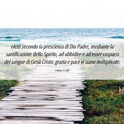 Picture 06 - 1 Pietro 1:2 RIV - eletti secondo la prescienza di Dio Padre, - Bible Verse Picture