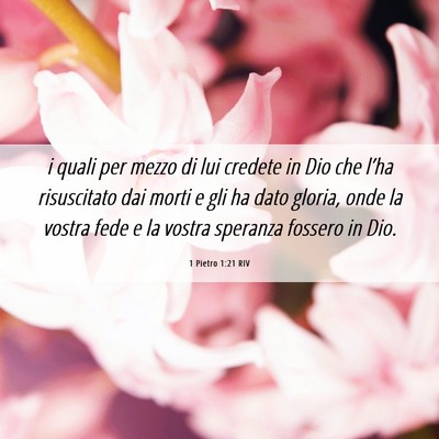 Picture 06 - 1 Pietro 1:21 RIV - i quali per mezzo di lui credete in Dio che - Bible Verse Picture