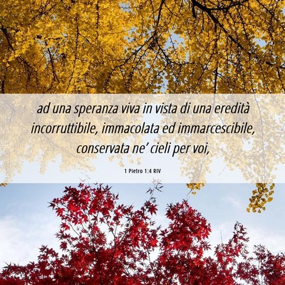 Picture 06 - 1 Pietro 1:4 RIV - ad una speranza viva in vista di una eredità - Bible Verse Picture