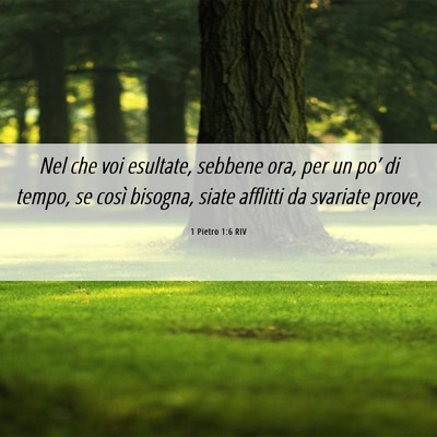 Picture 06 - 1 Pietro 1:6 RIV - Nel che voi esultate, sebbene ora, per un po’ - Bible Verse Picture