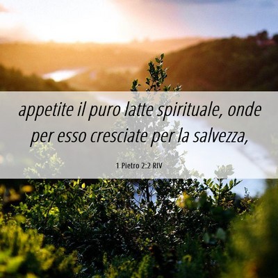 Picture 06 - 1 Pietro 2:2 RIV - appetite il puro latte spirituale, onde per esso - Bible Verse Picture