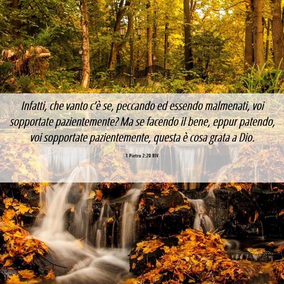 Picture 06 - 1 Pietro 2:20 RIV - Infatti, che vanto c’è se, peccando ed essendo - Bible Verse Picture