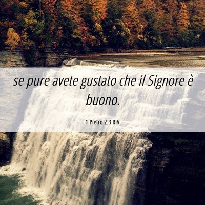 Picture 06 - 1 Pietro 2:3 RIV - se pure avete gustato che il Signore è - Bible Verse Picture