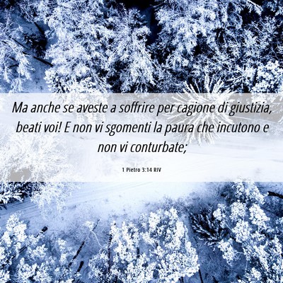 Picture 06 - 1 Pietro 3:14 RIV - Ma anche se aveste a soffrire per cagione di - Bible Verse Picture
