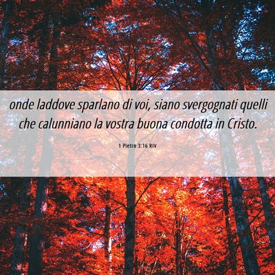 Picture 06 - 1 Pietro 3:16 RIV - onde laddove sparlano di voi, siano svergognati - Bible Verse Picture