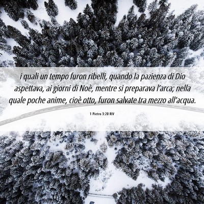 Picture 06 - 1 Pietro 3:20 RIV - i quali un tempo furon ribelli, quando la - Bible Verse Picture