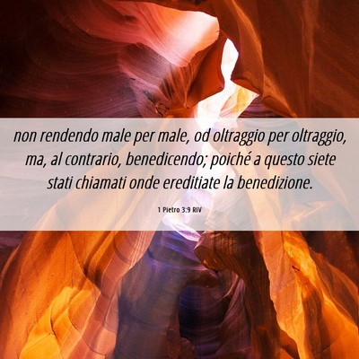Picture 06 - 1 Pietro 3:9 RIV - non rendendo male per male, od oltraggio per - Bible Verse Picture