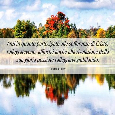 Picture 06 - 1 Pietro 4:13 RIV - Anzi in quanto partecipate alle sofferenze di - Bible Verse Picture