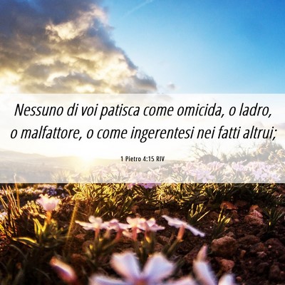 Picture 06 - 1 Pietro 4:15 RIV - Nessuno di voi patisca come omicida, o ladro, o - Bible Verse Picture