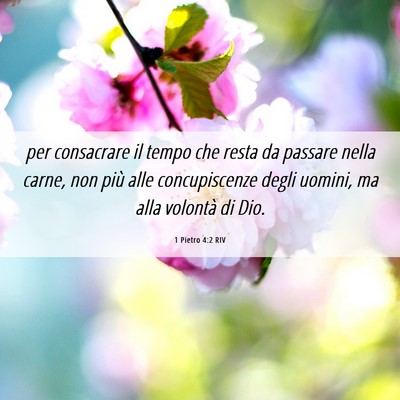 Picture 06 - 1 Pietro 4:2 RIV - per consacrare il tempo che resta da passare - Bible Verse Picture