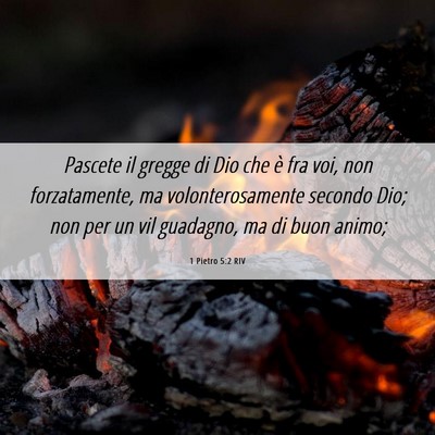 Picture 06 - 1 Pietro 5:2 RIV - Pascete il gregge di Dio che è fra voi, non - Bible Verse Picture
