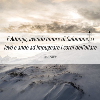 Picture 06 - 1 Re 1:50 RIV - E Adonija, avendo timore di Salomone, si levò e - Bible Verse Picture