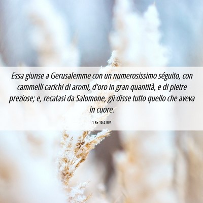 Picture 06 - 1 Re 10:2 RIV - Essa giunse a Gerusalemme con un numerosissimo - Bible Verse Picture