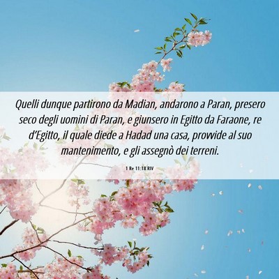 Picture 06 - 1 Re 11:18 RIV - Quelli dunque partirono da Madian, andarono a - Bible Verse Picture