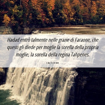 Picture 06 - 1 Re 11:19 RIV - Hadad entrò talmente nelle grazie di Faraone, - Bible Verse Picture