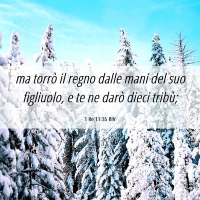 Picture 06 - 1 Re 11:35 RIV - ma torrò il regno dalle mani del suo figliuolo, - Bible Verse Picture
