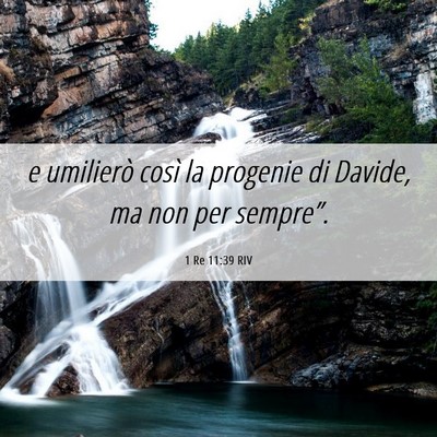 Picture 06 - 1 Re 11:39 RIV - e umilierò così la progenie di Davide, ma non - Bible Verse Picture