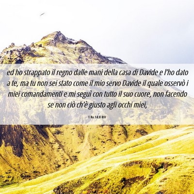 Picture 06 - 1 Re 14:8 RIV - ed ho strappato il regno dalle mani della casa di - Bible Verse Picture