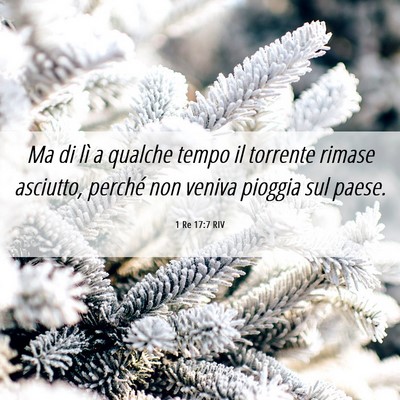 Picture 06 - 1 Re 17:7 RIV - Ma di lì a qualche tempo il torrente rimase - Bible Verse Picture